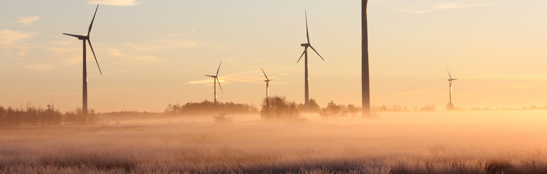 AGI让整个社会加速前进